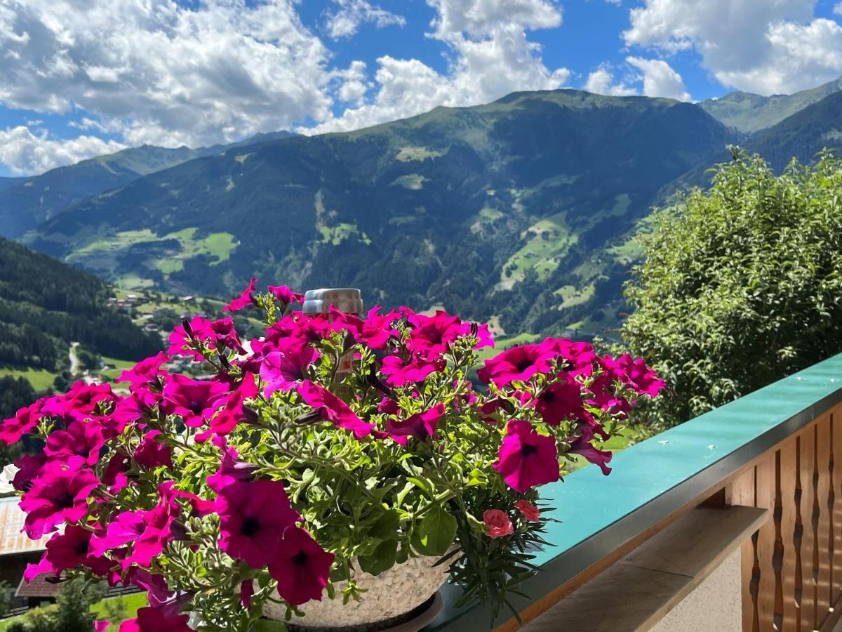 Landhaus Hoellwarth Zell am Ziller Kültér fotó